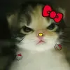 Leannette Rivera - @leannette.rivera - TikTok