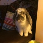 Leanne Rivers - @leony25 - Instagram