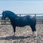 Leanne Shaw - @leanneshaw5501 - Instagram