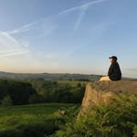Leanne Shaw - @shawbaggz1 - Instagram