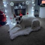Leanne Sheppard - @emas_sunday_roast - Instagram