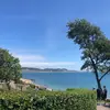 Leanne Sheppard - @ls4646 - TikTok