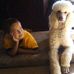 LeeAnna Springer - Facebook