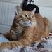 LeAnne Stanton - Facebook