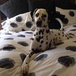 Leanne Storey - @leanne.storey.2209 - Instagram