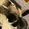 Leanne Swift847 - @lovemyfollwerspostingall - TikTok