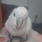 Leanne Terry-cox - @lovely_lea_always - Instagram