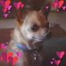 Leanne Twigg - Facebook