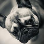 Leanne Waite - @leanne.waite.92 - Instagram