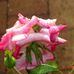Leanne Waters - Facebook