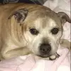 Leanne waters - @leannemay1 - TikTok