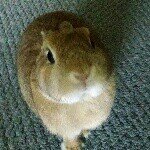 Leanne Jenkins Weeks - @cinnaman_bun - Instagram