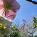 Leanne Weeks - Facebook
