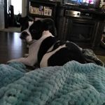 Jenna LeAnne Wheeler - @jennawheeler20082019 - Instagram