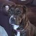 Leanne Whipple - Facebook