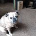 Lynne Whitrock - Facebook