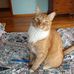 Leanne Wilcox - Facebook