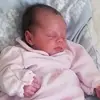 Leanne Wiley - @leannewiley2 - TikTok