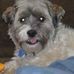 Leanne Willis - Facebook