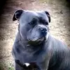 Leanne Wise - @belle18041 - TikTok