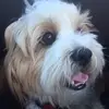 leannawunsch - @leannawunsch - TikTok