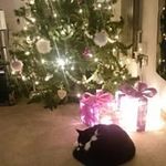leanne wyatt - @leannew31 - Instagram