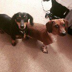 Leanne Wyatt-padilla - @ms_doximom - Instagram
