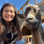Leanne - @leanneyeung - Instagram