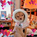 Leanore Frank - Facebook