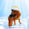 Leira.wooldridge - @leira.wooldridge10 - TikTok