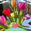 Lori Brown- Leary - @lori.brown.leary - TikTok