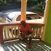 Learoy Johnson - @learoy.johnson - TikTok