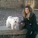 @ledawhiteterrier - Instagram