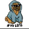 Lee baker - @leethepug09 - TikTok