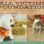 Lee Acosta - @allvictimsfoundation1 - Instagram