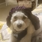Albert lee - @lee_albertstein - Instagram