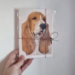 Lee Allan - @drawings_bylee - Instagram