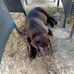 Lee Andersen - Facebook