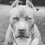 Lee-wahn Appel - @wahnyboy12 - Instagram