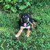 Lee Chenier Ashburn - Facebook