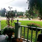 Lee Avila - @leeavila56 - Instagram