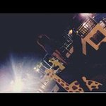 @____lee_____bachman_____ - Instagram