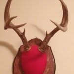 Lee Baggett - @lee_baggett_33 - Instagram