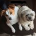 Lee Bailey - Facebook