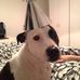 Lee Bailey - Facebook
