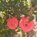 Tc Lee Bailey - Facebook