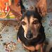 Lee Ballou - Facebook