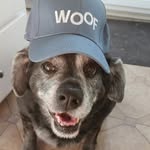 Dawn Lee Bancroft McCowan - @dmccowan66 - Instagram