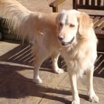 Lee Bancroft - @leebancroft12345 - Instagram