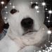Lee Barwick - Facebook